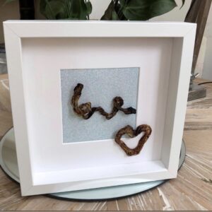 Framed Umbilical Cord Keepsake